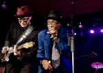 zzwu | Communication in blues